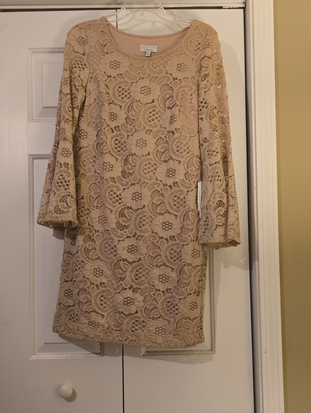 Crochet Lace Long Sleeve Shift Dress in Nude